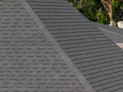 Roofing Repair and Replacement Services