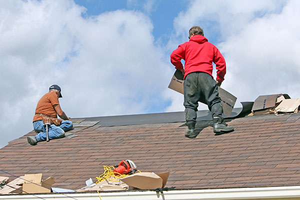 Professional Roofing Contractor